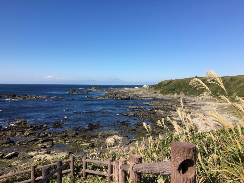 Read more about the article 1 Hour Trip from Tokyo to Eat TUNA at the Hidden Gem port town Misaki