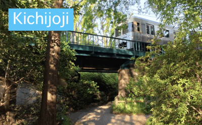 Inokashira park near Kichijoji station is an oasis of busy Tokyo.