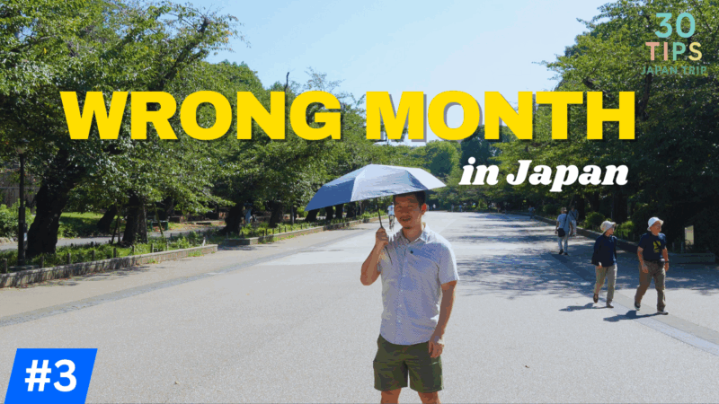 Best and the Worst Season to Visit Japan